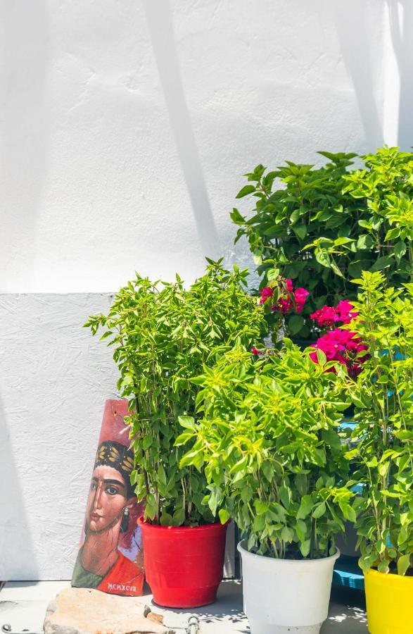 Plakes Sea View Apartment Plaka (Milos) Exterior foto